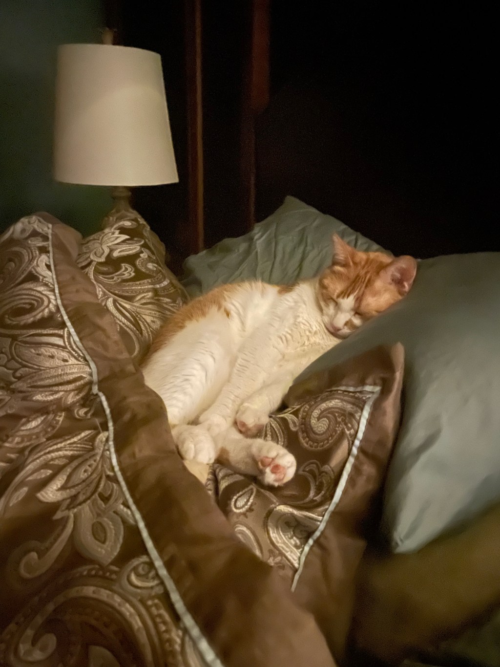 2023-03-23 Mid-March Woes