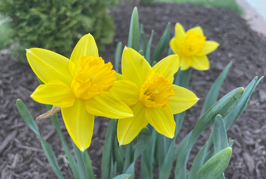 Protected: 2023-04-20 Different but the&nbsp;Same