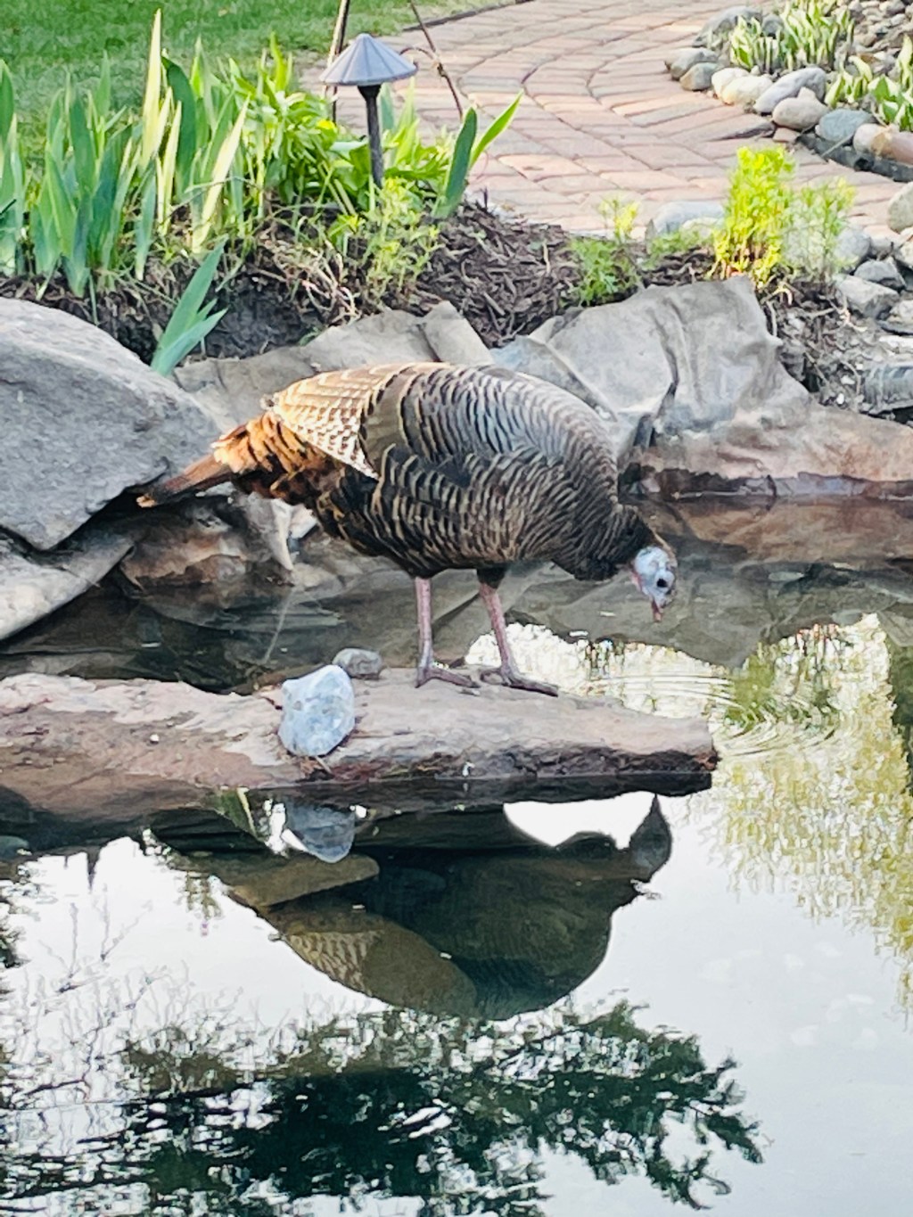 2023-04-30 Cycles of Melancholy and&nbsp;Madness