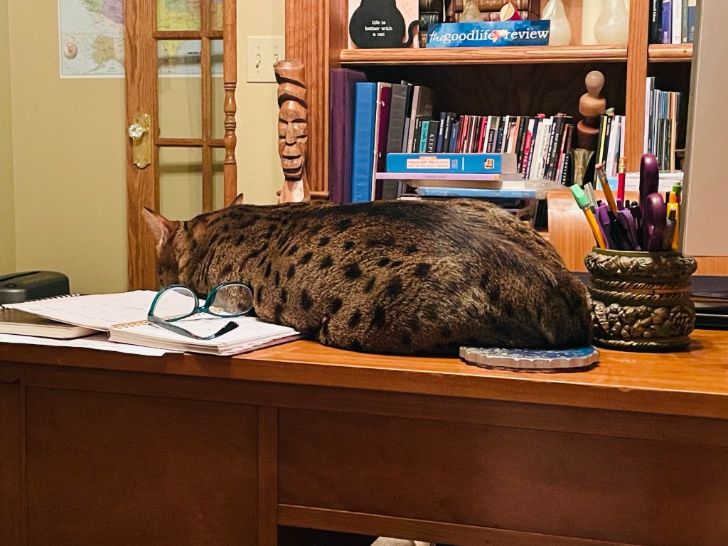 2023-05-15 The Mystery of Finding Treasure