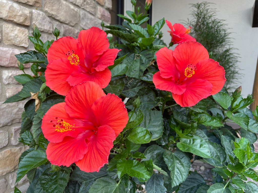 2023-06-29 List Making for Better Work-Life Balance and More Flavorful&nbsp;Cookies