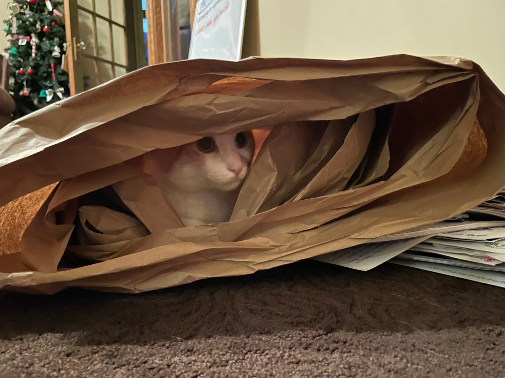 2023-08-20 The Dichotomy of Life plus a Bonus List of All the Things I’m Not&nbsp;Writing