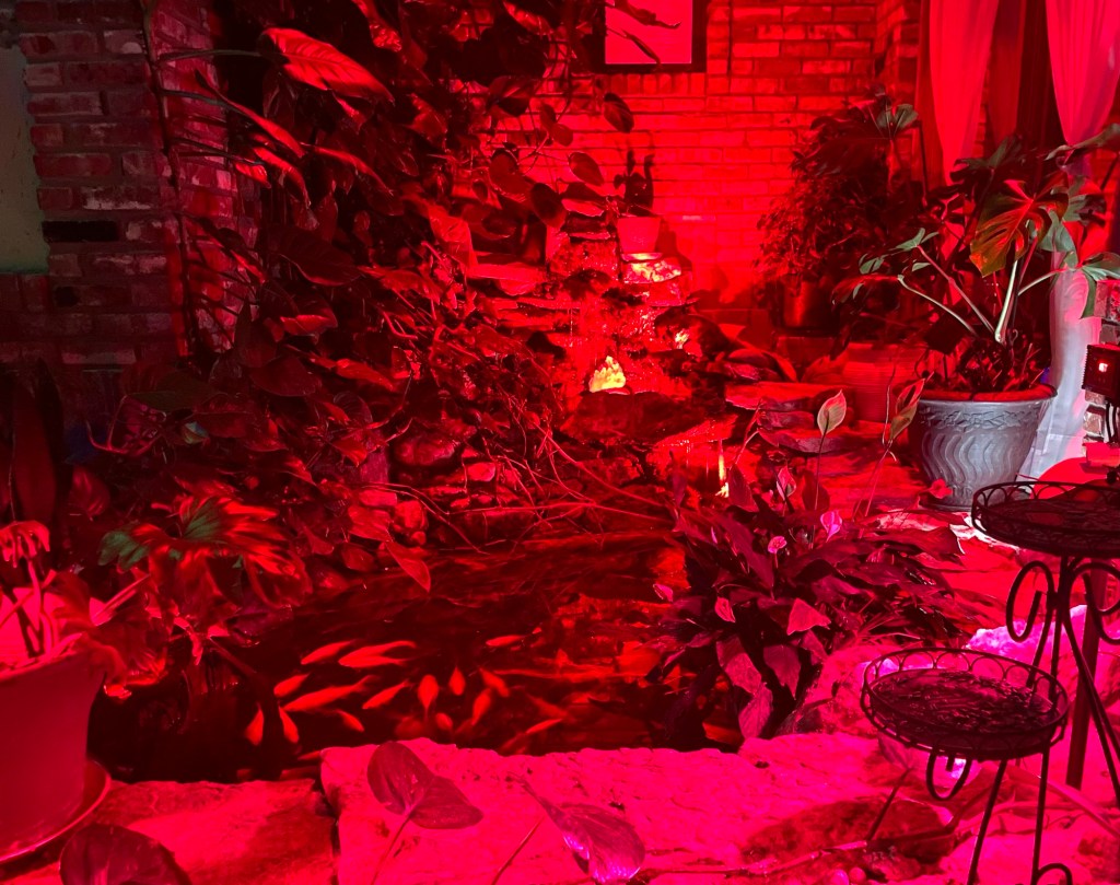 Protected: 2023-12-15 This Post is Not About&nbsp;Sandwiches🥪