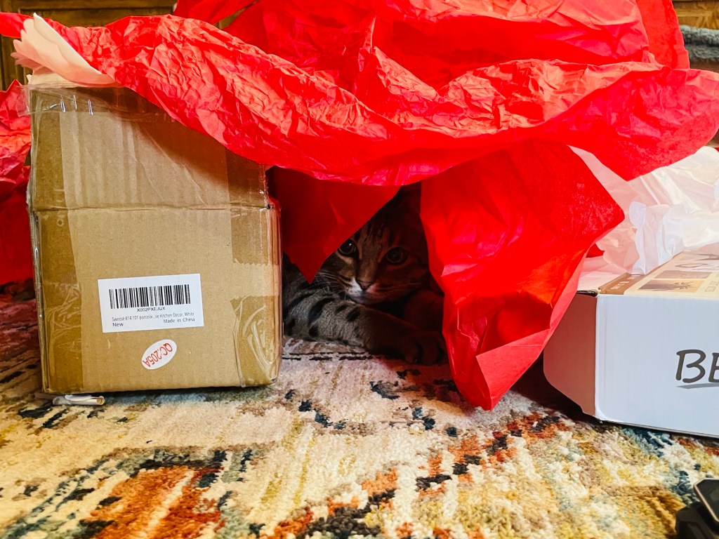 2023-12-27 A Middle&nbsp;Place