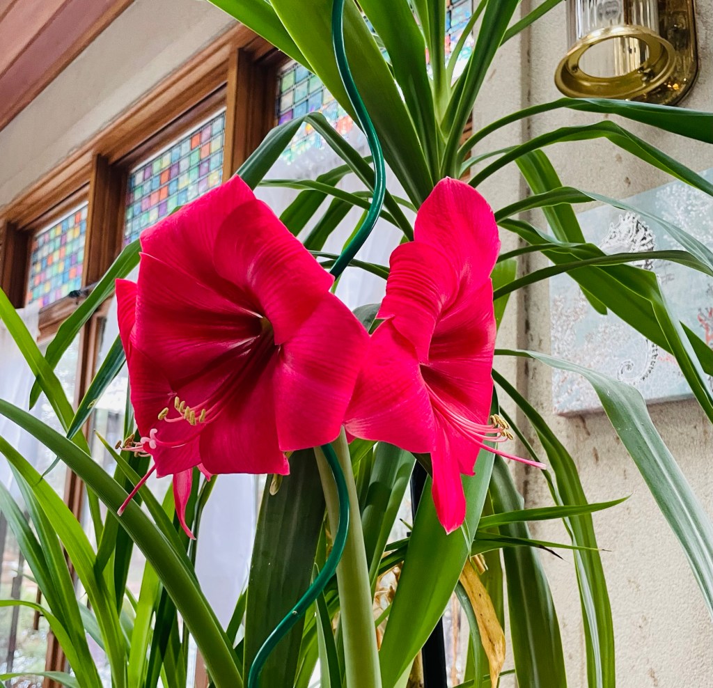 Protected: 2024-01-11 Ain’t That Some&nbsp;Shit