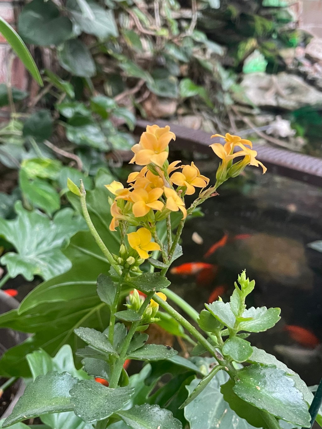 2024-03-14 When the Veil is&nbsp;Lifted…