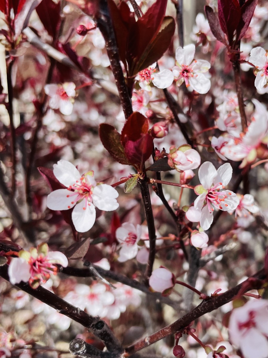 2024-04-12 What it Means to be Seen and&nbsp;Heard…