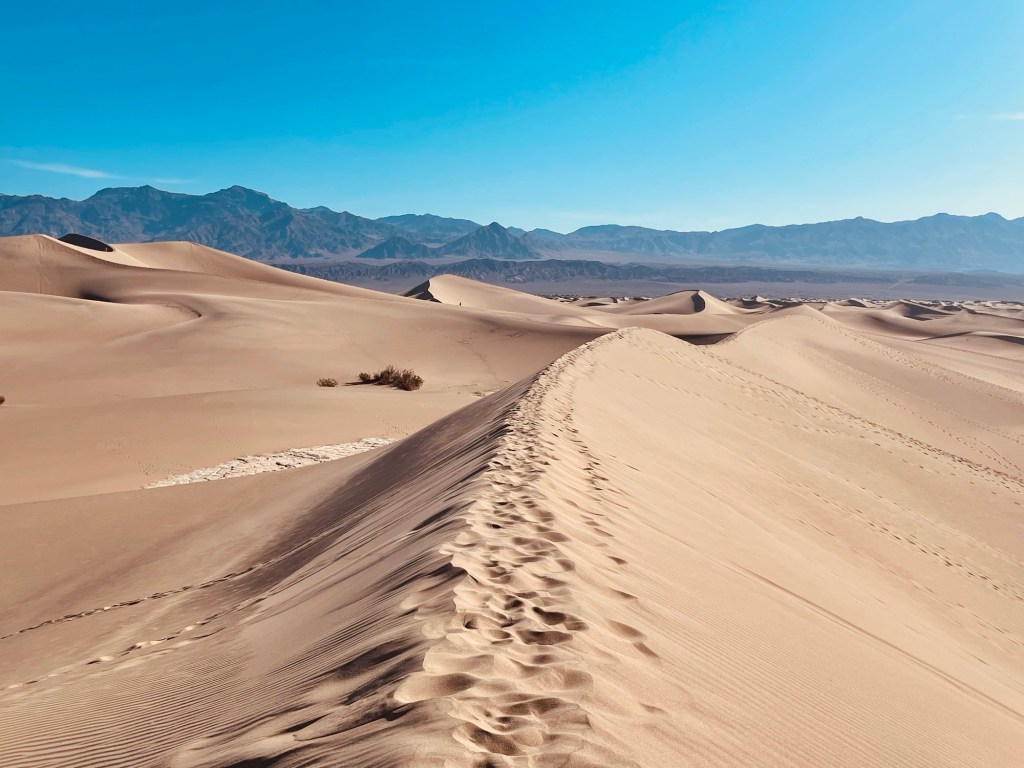 2024-05-01 Time keeps on slippin, slippin,&nbsp;slippin…