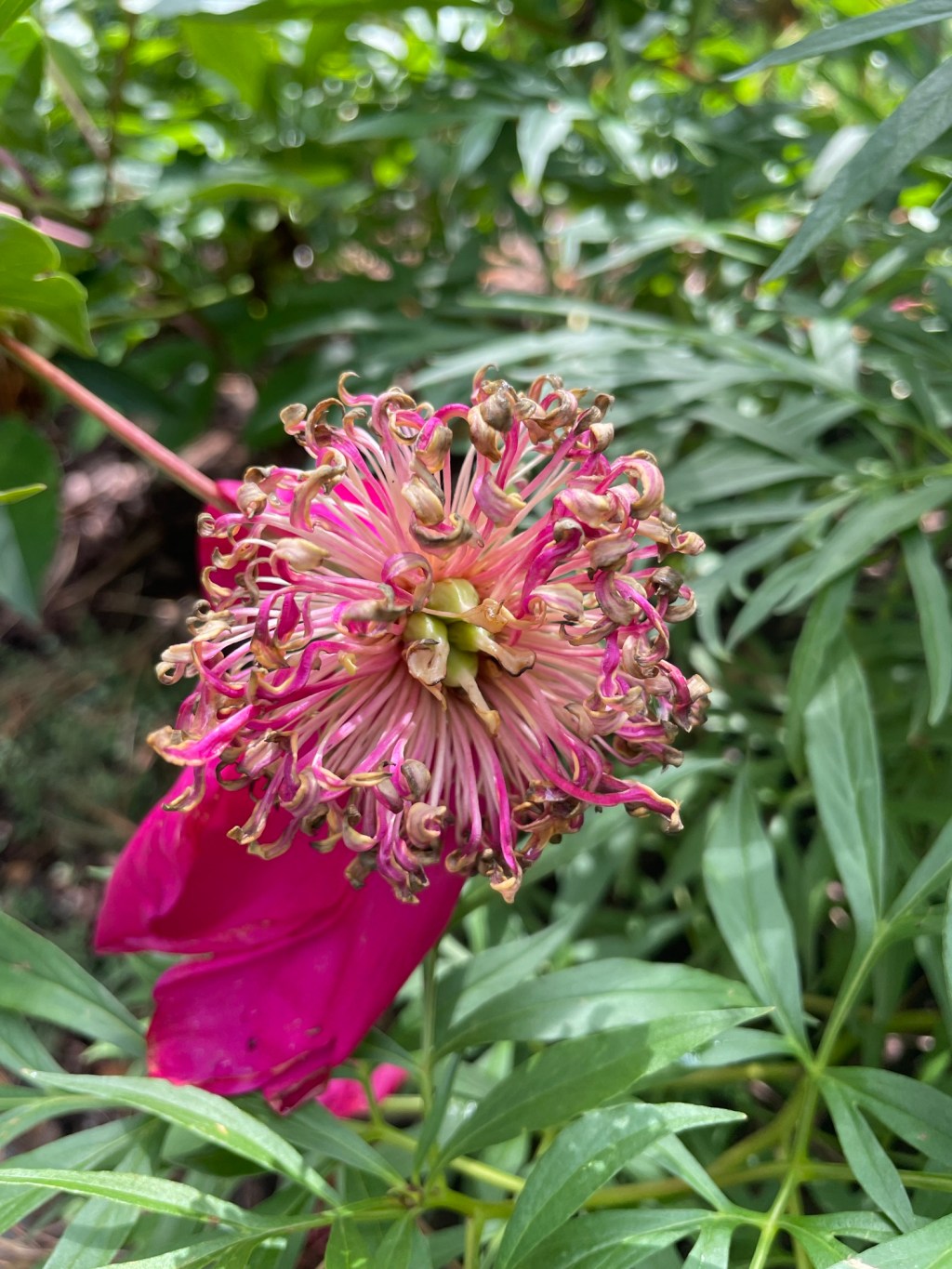 2024-06-12 Another Pub Update