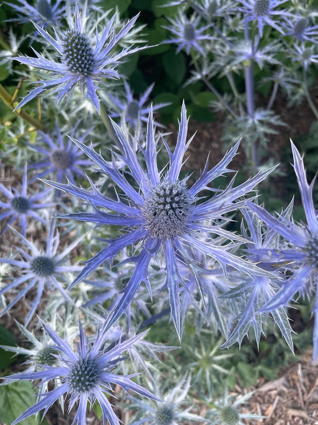 2024-06-02 The Results are&nbsp;In!…