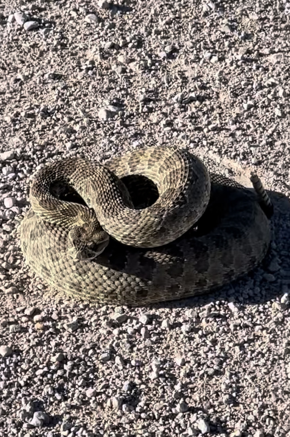 2024-10-30 Highlights from a Very Remote Nebraska&nbsp;Vacay