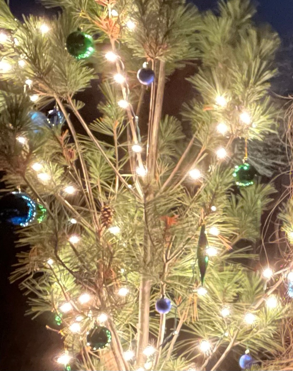 2024-12-10 My current “would you rather” situation…