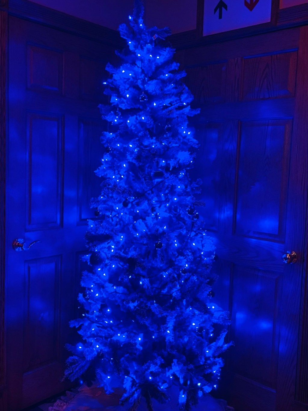 2024-12-17 Oh, Hello Again.