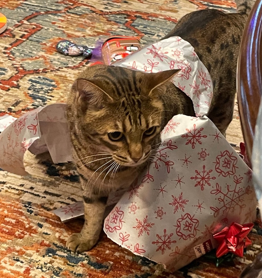 2024-12-28 Oh Those MFA Feels…