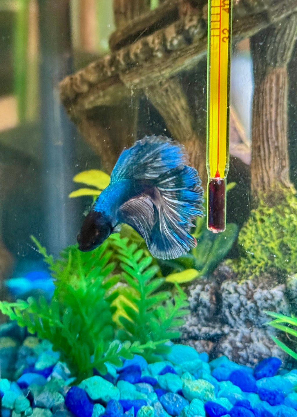 2025-12-29 The Ultimate Chutes and Ladders