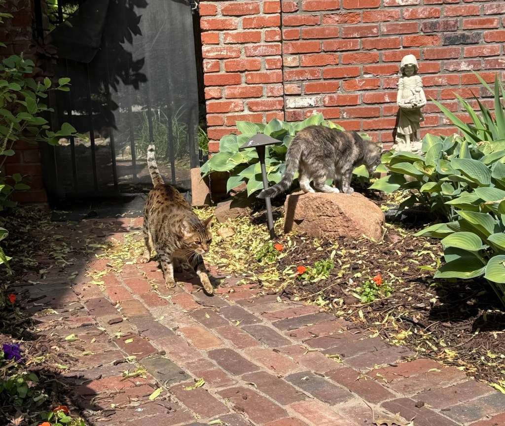 2025-06-02 Live and Let&nbsp;Go